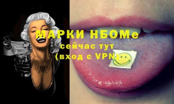 гашик Козловка