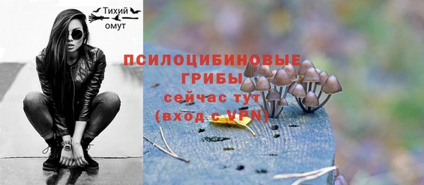 mix Костерёво