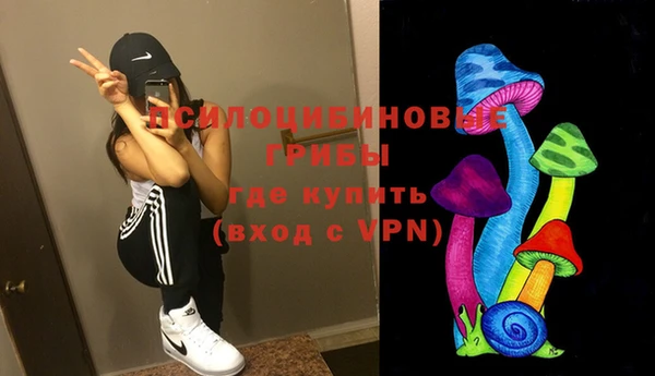 хмурый Корсаков