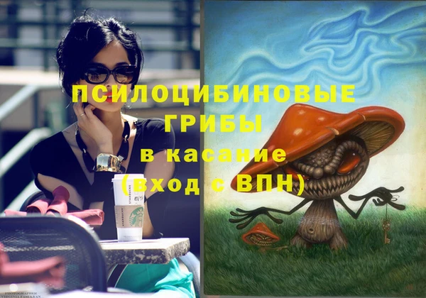 гашик Козловка