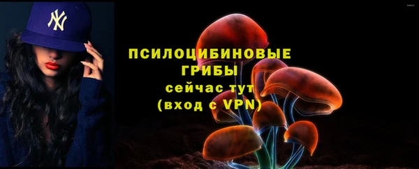 mix Костерёво