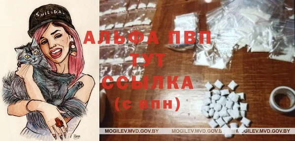 хмурый Корсаков