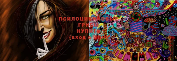 хмурый Корсаков