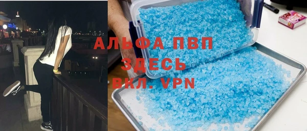 гашик Козловка