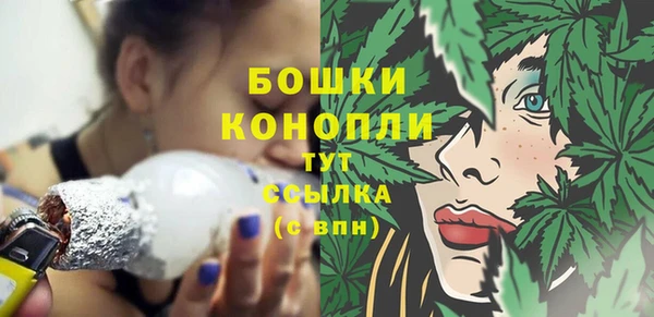 винт Коряжма