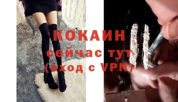 хмурый Корсаков